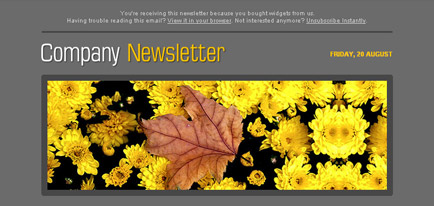 Fall Newsletter